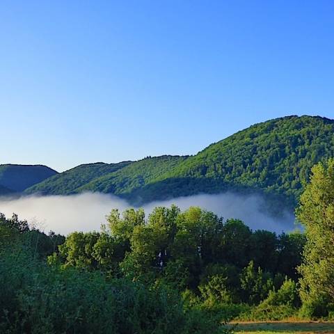 La vue au petit matin